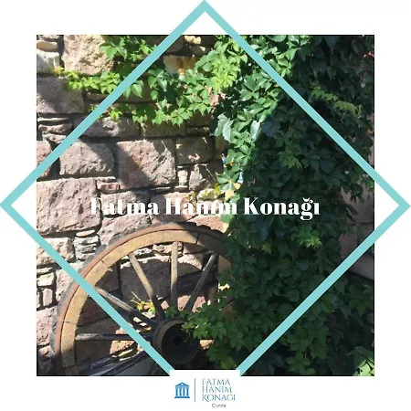 فندق Cunda Fatma Hanim Konagi باليكسير
